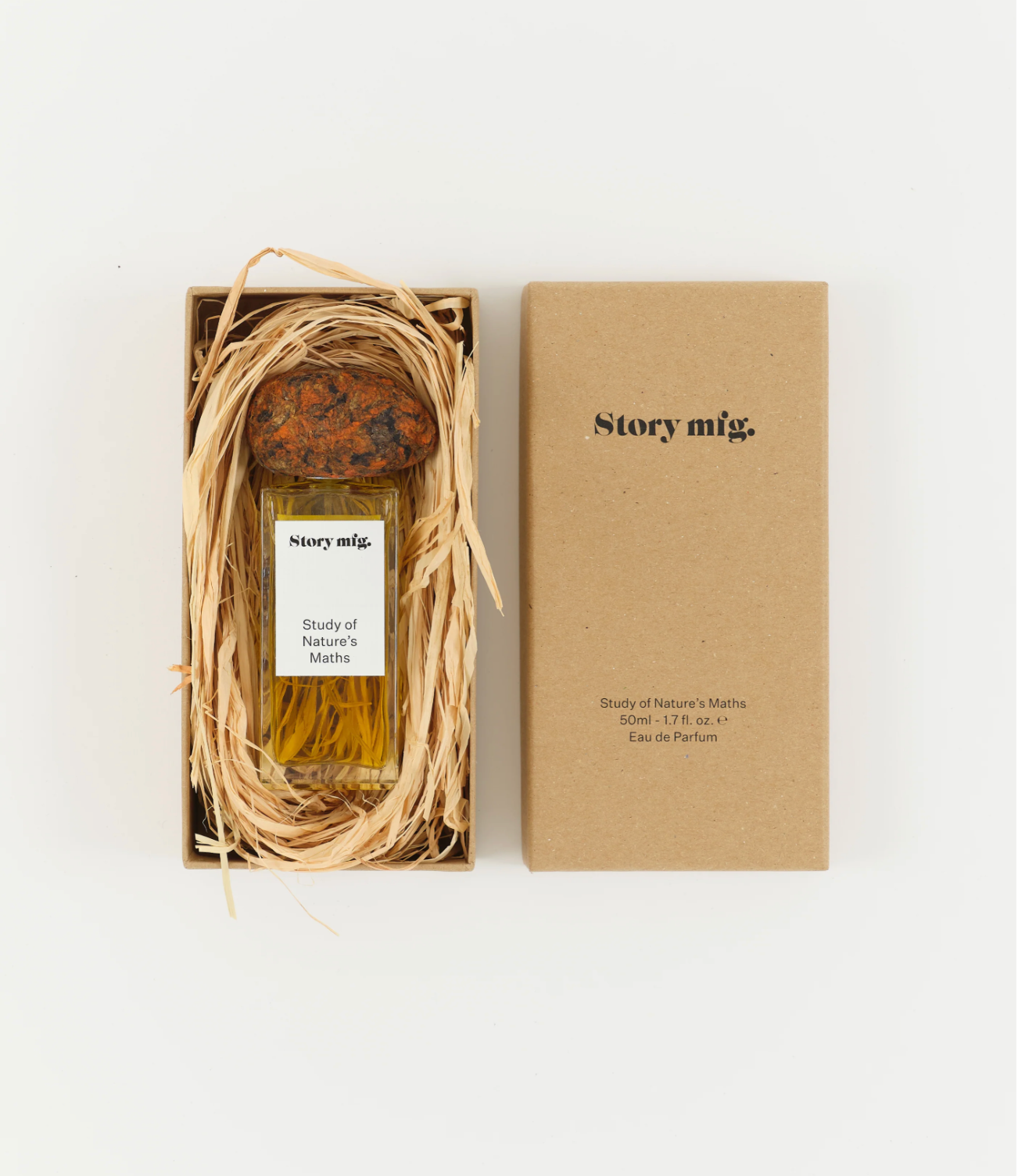 Story mfg EDP Study of Natures Maths